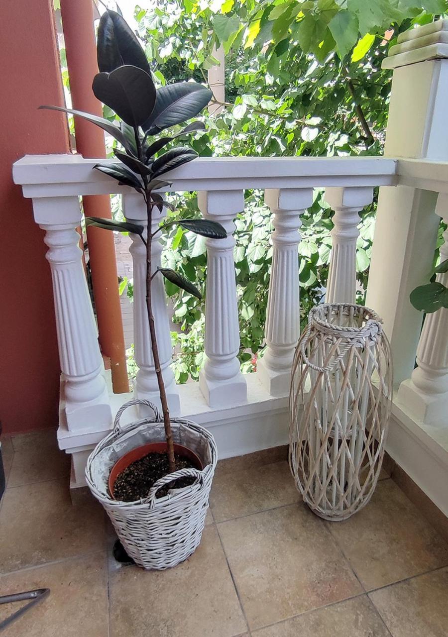 Ld Studio Larissa Ngoại thất bức ảnh