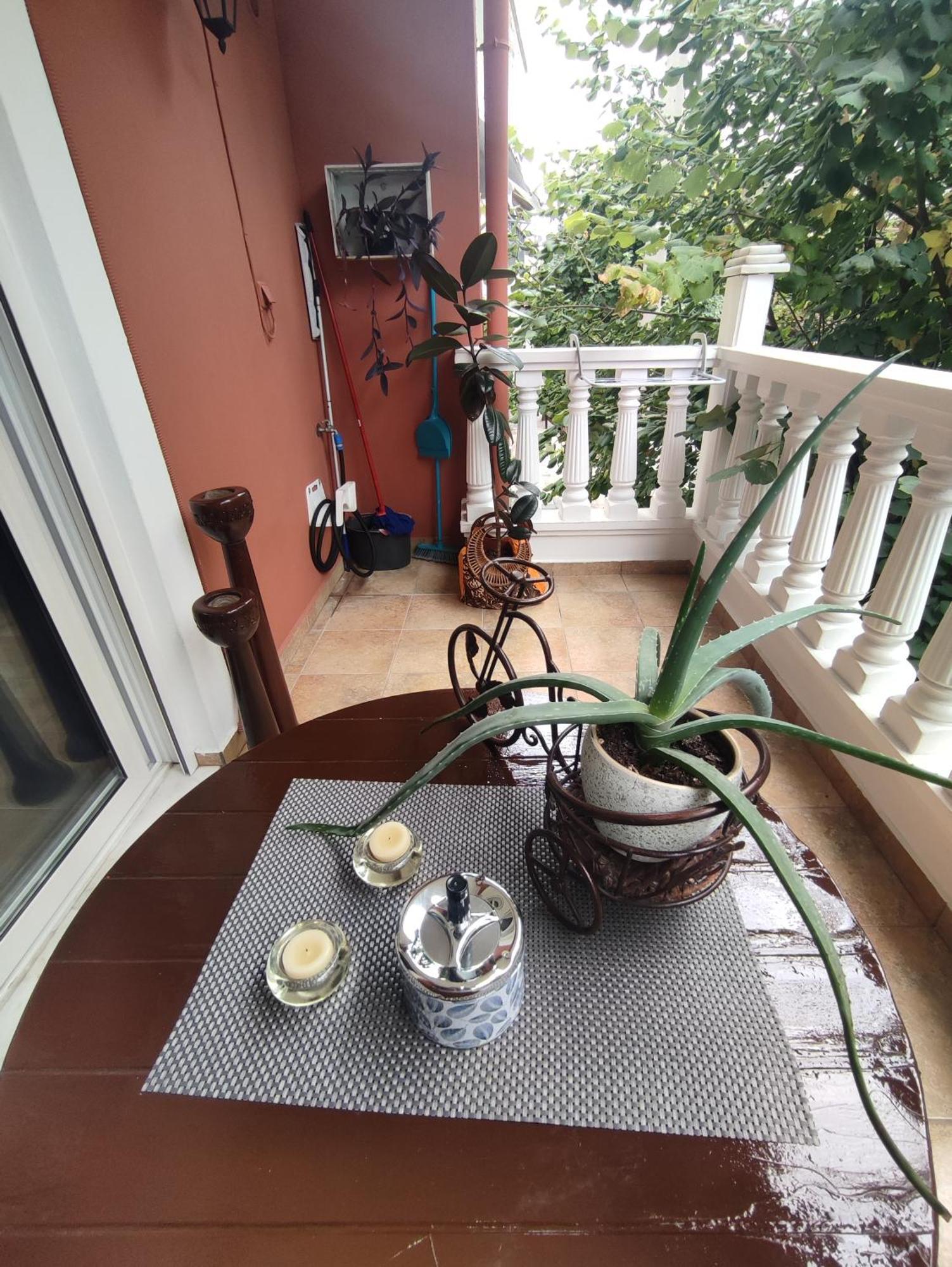 Ld Studio Larissa Ngoại thất bức ảnh